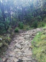 Wanderwege
