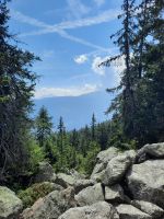 Weg Hochganghaus - Goidner Alm
