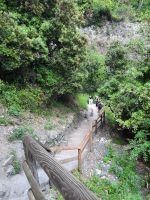 Weg nach Corniglia