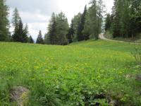 Weg nach St. Felix
