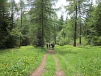 Weg nach St. Felix