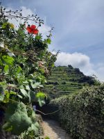 Weg nach Vernazza