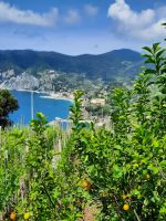 Weg nach Vernazza