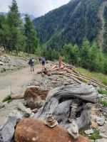 Weg zum Eishof - Pfossental