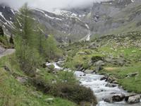 Weg zur Lazinser Alm