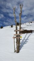 Weg zur Rossalm und Plosehütte