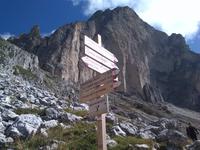 Wegekreuzung im Rosengarten 