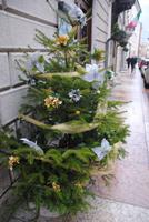 Weihnachtdeko auf den Straßen von Trient