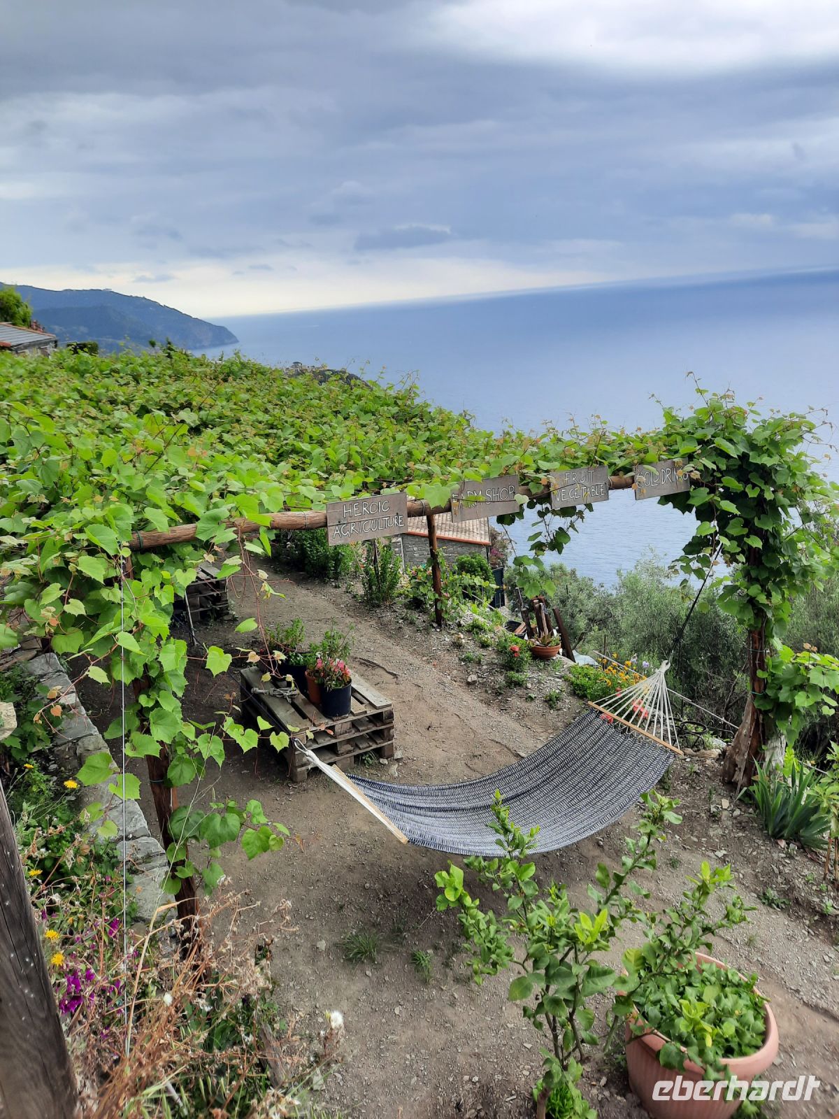 Weinanbau