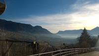 Weinberge bei Meran