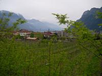 Weinberge in Riva del Garda