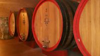Weingut 