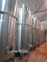 Weingut 