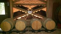 Weingut 