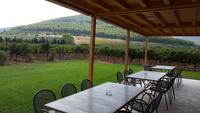 Weingut Azienda Agricola