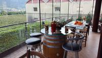 Weingut Martinelli
