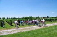 Weingut Pitars