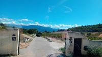 Weingut in Ajaccio