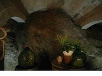 Weinkellerei Lento