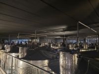 Weinkellerei der Familie Endrizzi in San Michele all Adige