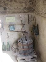Weinpresse auf dem Castello Aragonese