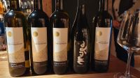 Weinprobe im Spitalerhof