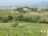 Weinverkostung beim Weinbauern Montaioncino 