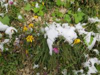 Wintereinbruch an den Drei Zinnen