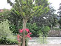 Winterpromenade