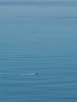 Wo endet das Meer? 