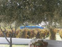 Wo ist der Bus ?