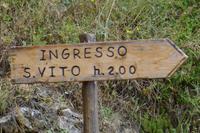 Zingaro