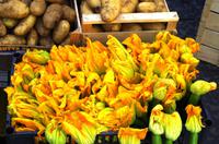 Zucchini mit Blüte