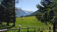 am Bergsee Covel