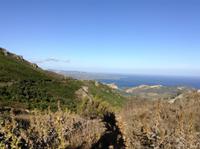 am Capa Corse
