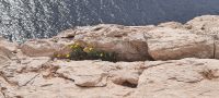 am Capo Caccia