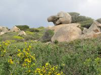 am Capo Tresta