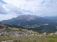 am Rosengarten