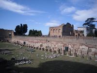 auf dem Palatino