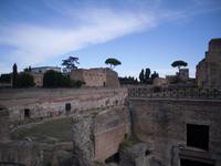 auf dem Palatino