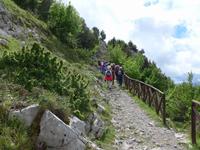 auf dem Pilgerweg