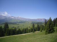 auf der Seiser Alm