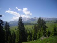auf der Seiser Alm