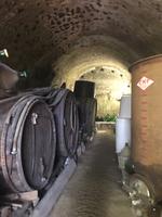 beim Weinbauern