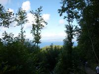 blick