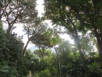 botanische Gärten von 