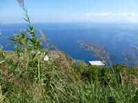 capri