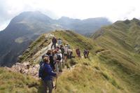 die Tatschspitz im Blick