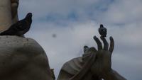 die Tauben sitzen auf den Fingerkuppen der Nilstatue und genießen den Ausblick