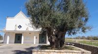 eine Kirche lädt zur Rast ein